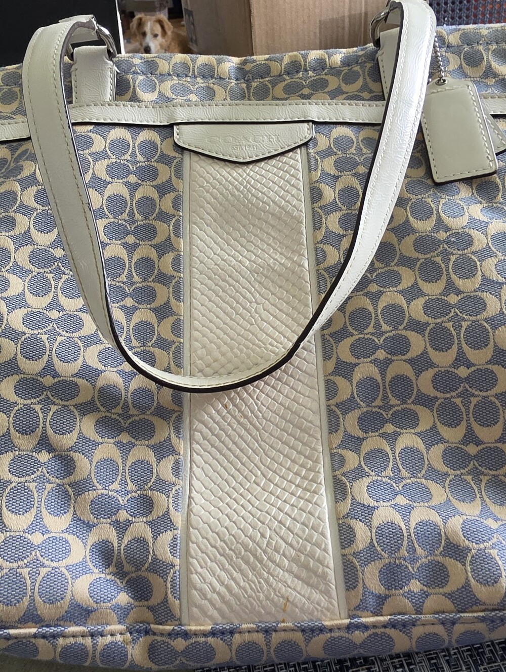 Coach Canvas Tote in Light Blue and Cream with Leather Trim